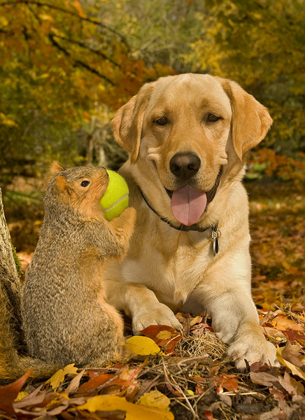  : Tucker's Life : Portland Oregon Photographer Troy Klebey Fine Art Travel Photography