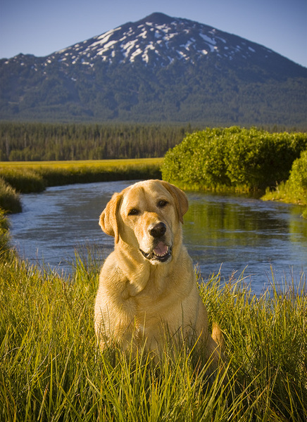  : Tucker's Life : Portland Oregon Photographer Troy Klebey Fine Art Travel Photography