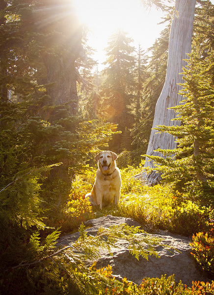  : Tucker's Life : Portland Oregon Photographer Troy Klebey Fine Art Travel Photography