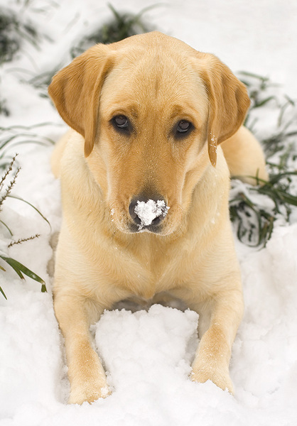  : Tucker's Life : Portland Oregon Photographer Troy Klebey Fine Art Travel Photography