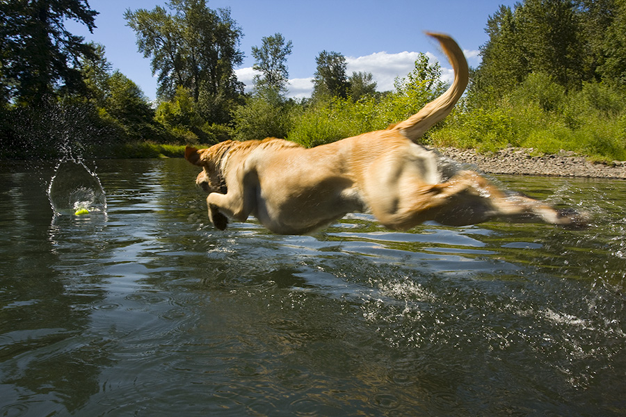  : Tucker's Life : Portland Oregon Photographer Troy Klebey Fine Art Travel Photography