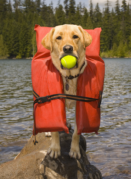  : Tucker's Life : Portland Oregon Photographer Troy Klebey Fine Art Travel Photography