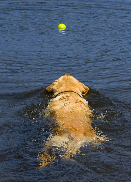  : Tucker's Life : Portland Oregon Photographer Troy Klebey Fine Art Travel Photography