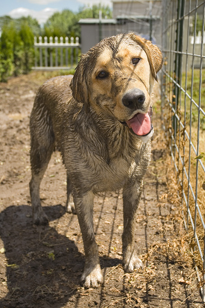  : Tucker's Life : Portland Oregon Photographer Troy Klebey Fine Art Travel Photography