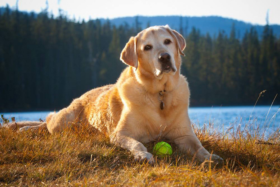  : Tucker's Life : Portland Oregon Photographer Troy Klebey Fine Art Travel Photography