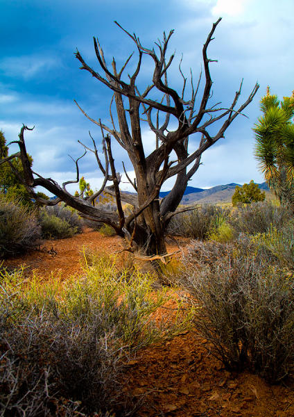  : To Death Valley and Back : Portland Oregon Photographer Troy Klebey Fine Art Travel Photography