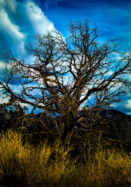  : To Death Valley and Back : Portland Oregon Photographer Troy Klebey Fine Art Travel Photography