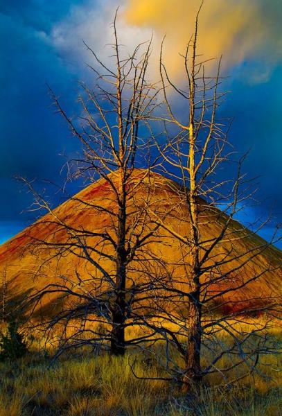 John Day Painted Hills : John Day Painted Hills : Portland Oregon Photographer Troy Klebey Fine Art Travel Photography