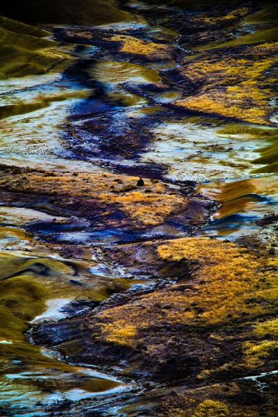 John Day Painted Hills : John Day Painted Hills : Portland Oregon Photographer Troy Klebey Fine Art Travel Photography