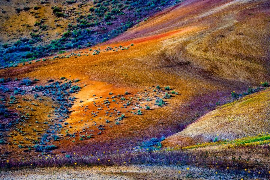 John Day Painted Hills : John Day Painted Hills : Portland Oregon Photographer Troy Klebey Fine Art Travel Photography