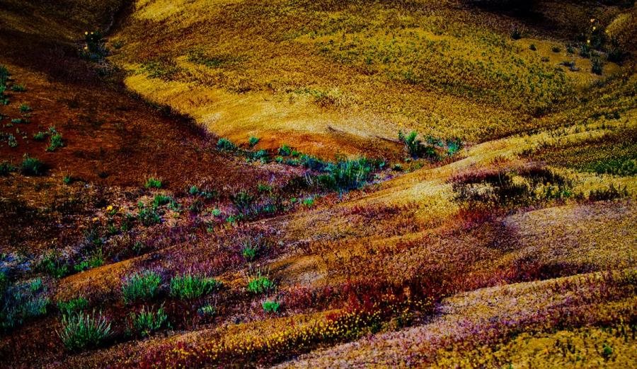 John Day Painted Hills : John Day Painted Hills : Portland Oregon Photographer Troy Klebey Fine Art Travel Photography